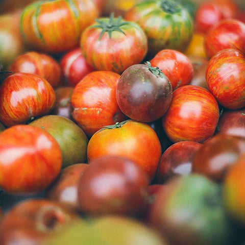 photo of tomatoes
