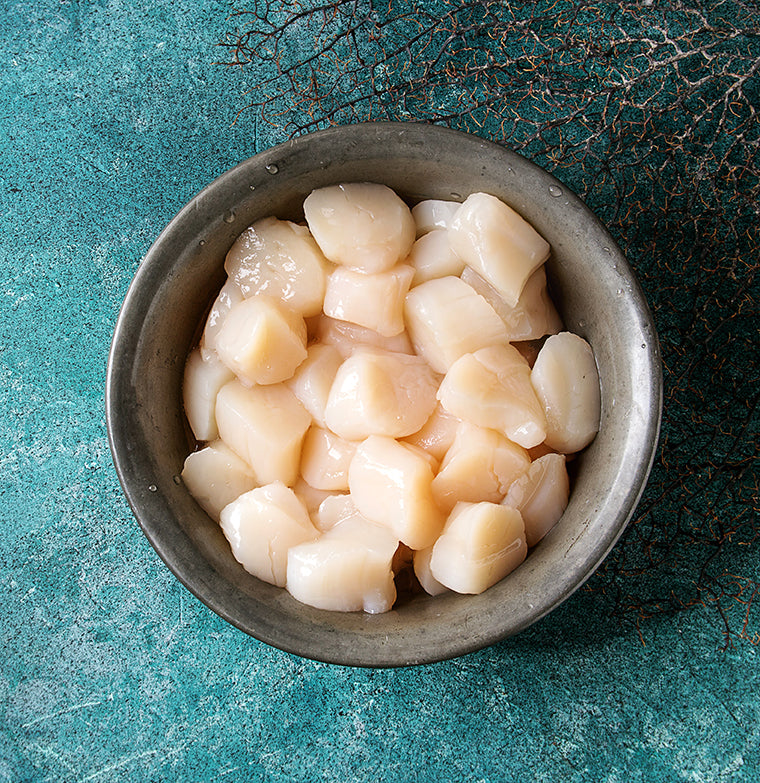 Bowl of fresh scallops on a textured blue background.