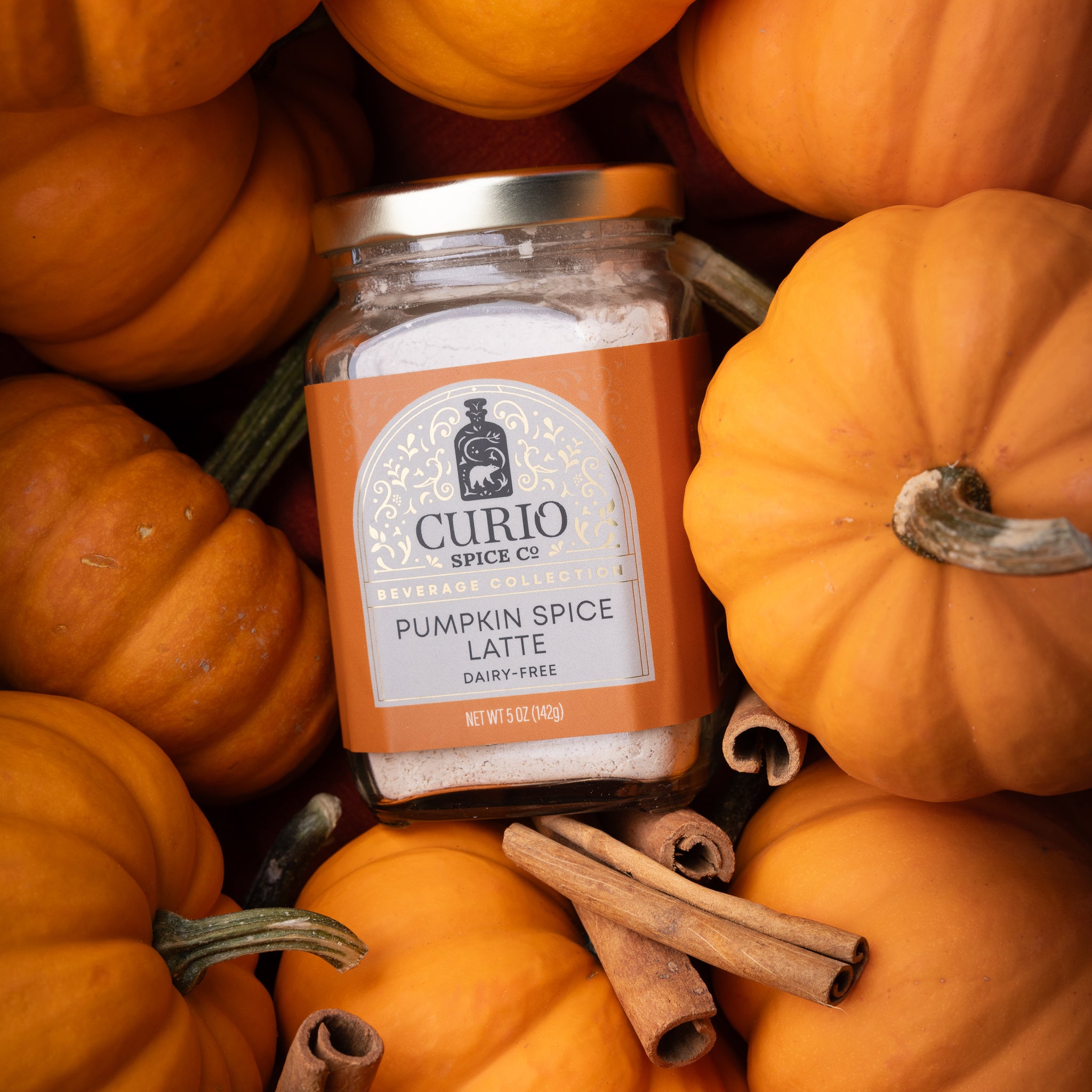 Fall Faves Flash – Curio Spice Company