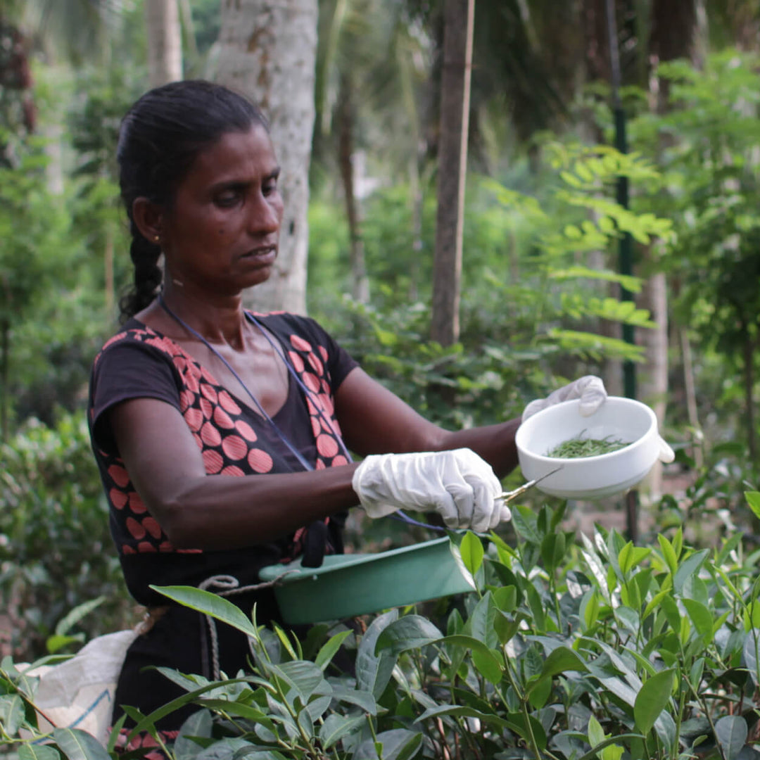 Cause Campaign: Sri Lanka Cyclone Relief