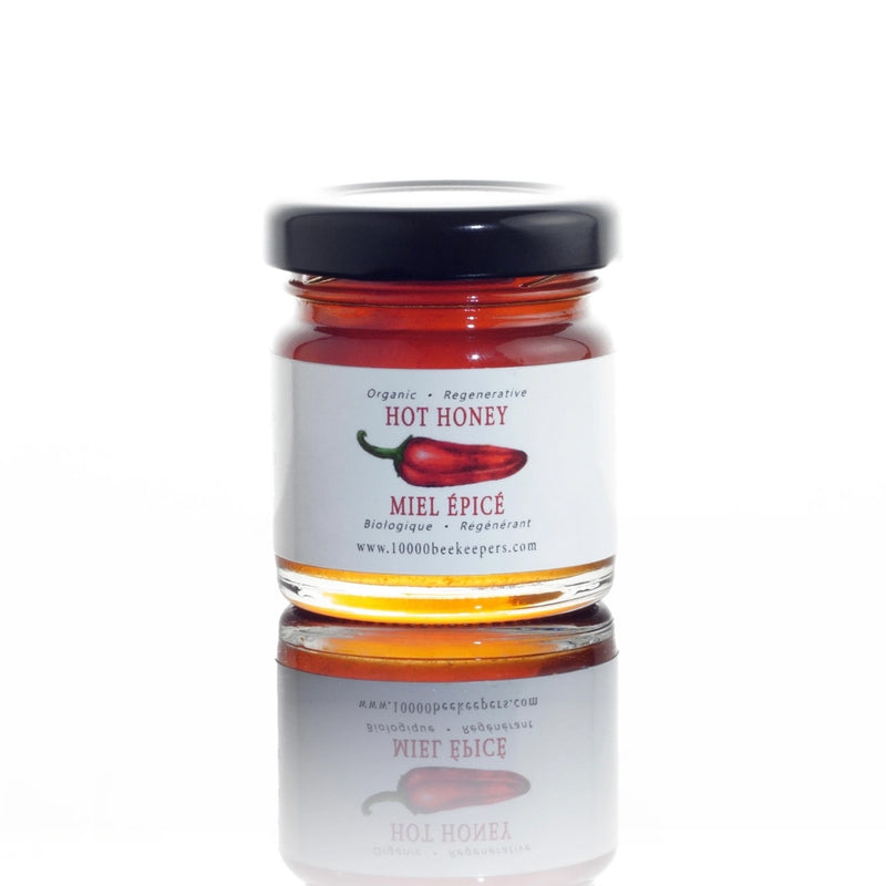 African Bronze Hot Honey Mini Jar