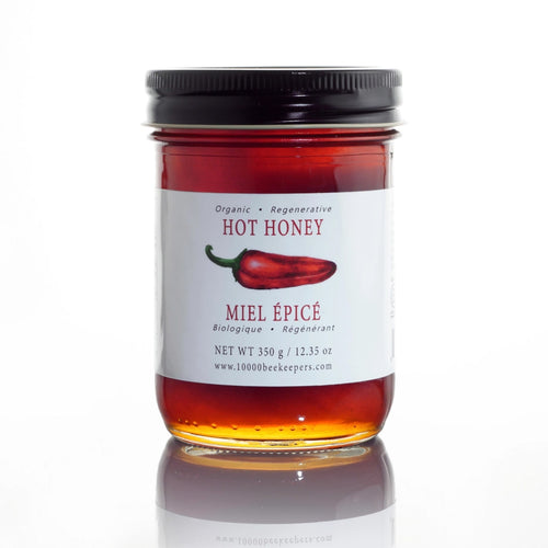 African Bronze Hot Honey 350g Jar