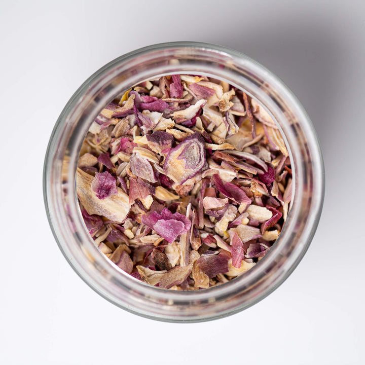 Shallot, Vietnamese Coastal Purple