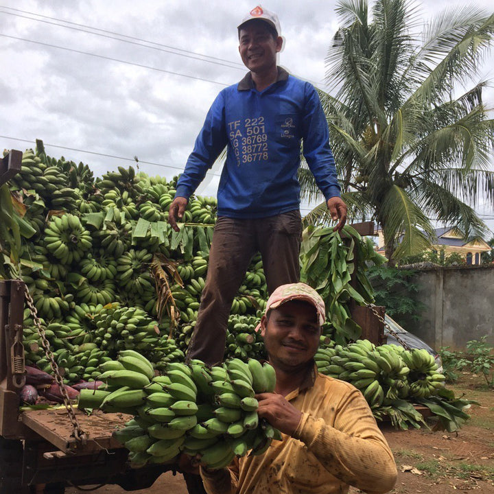 Two men with a cart full of green bananas in an outdoor setting.