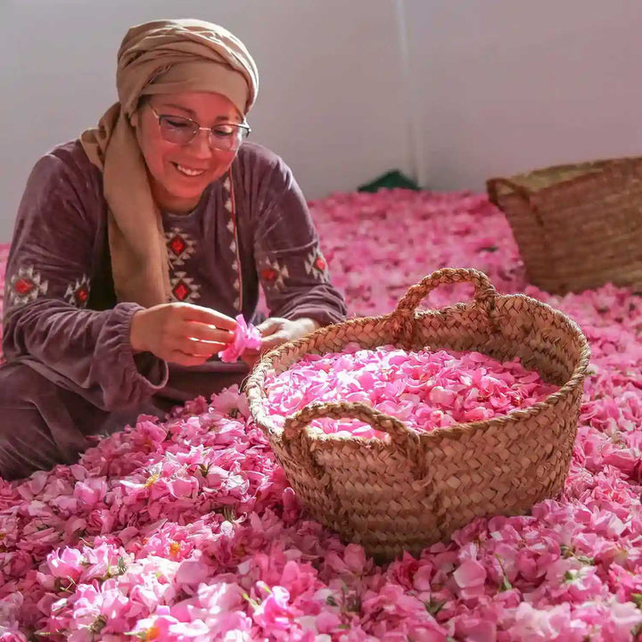A woman picking flower petals from harvested Damask roses.