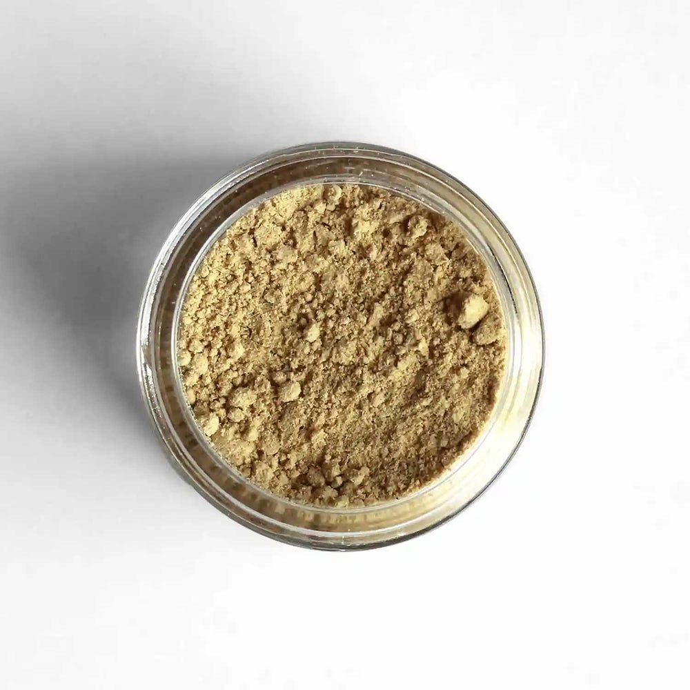 Top-down view of Costa Rican Ground Ginger