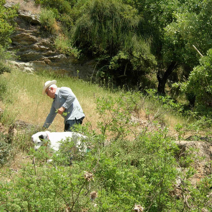 Farmer on the island of Chios