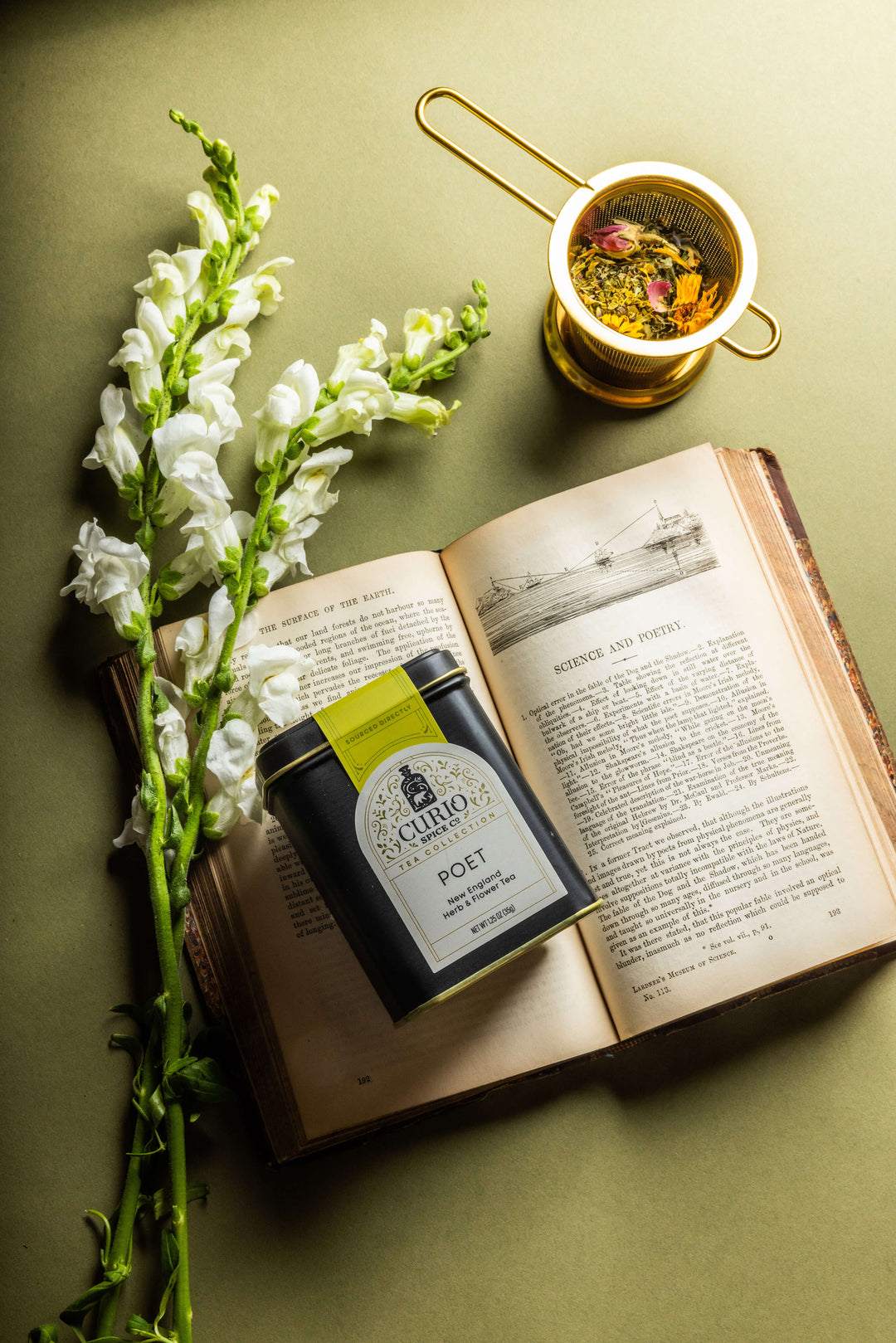 Open book with a Curio Poet Tea canister and flowers on a green surface