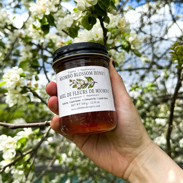 Jar of Miombo Blossom Honey being held next to tree blossoms