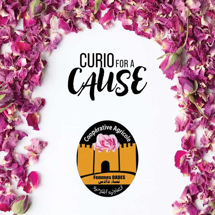 Curio for a Cause logo for the Vallée Dades Mgoune, Morocco campaign