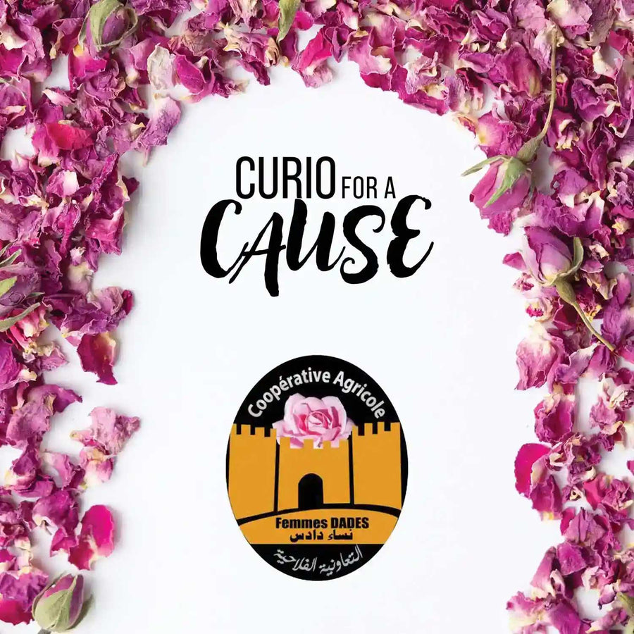 Curio for a Cause logo for the Vallée Dades Mgoune, Morocco campaign