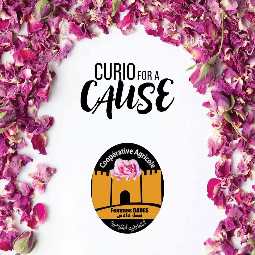 Curio for a Cause logo for the Vallée Dades Mgoune, Morocco campaign