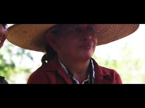 Video of Curio Spice's Women in Spice series, showing the lives behind the women in Colombia