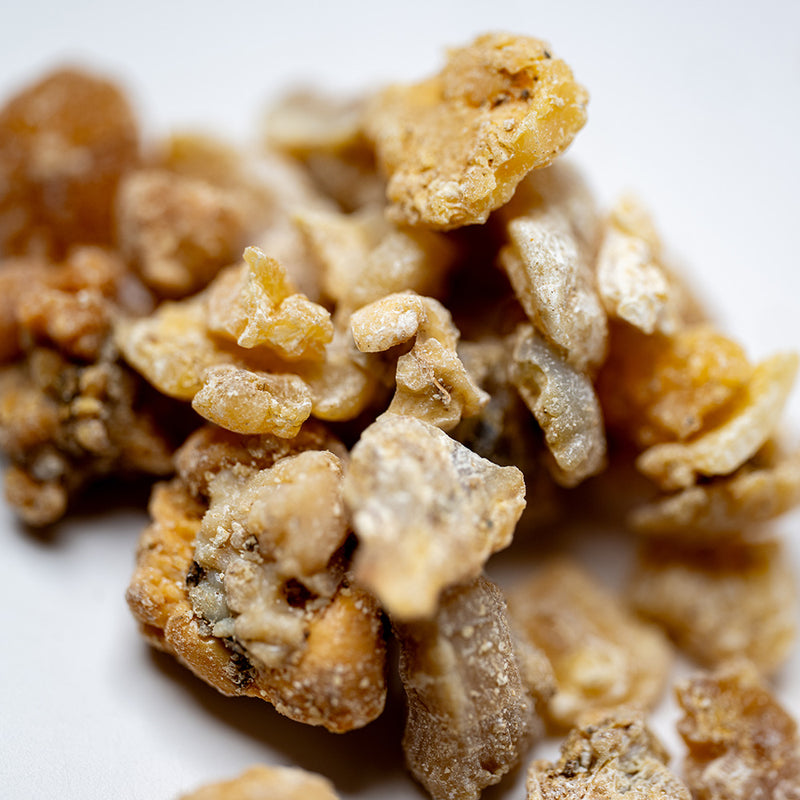 Asafoetida, Afghan