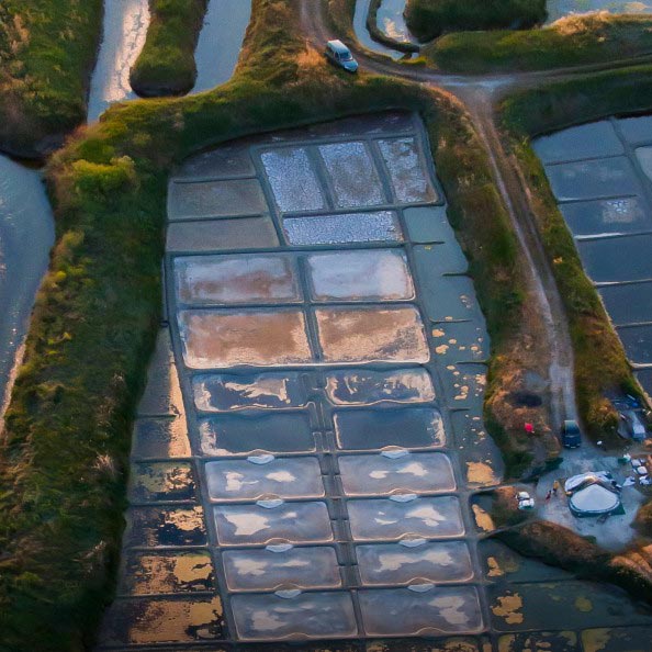 Marsh fields in Brittany, France