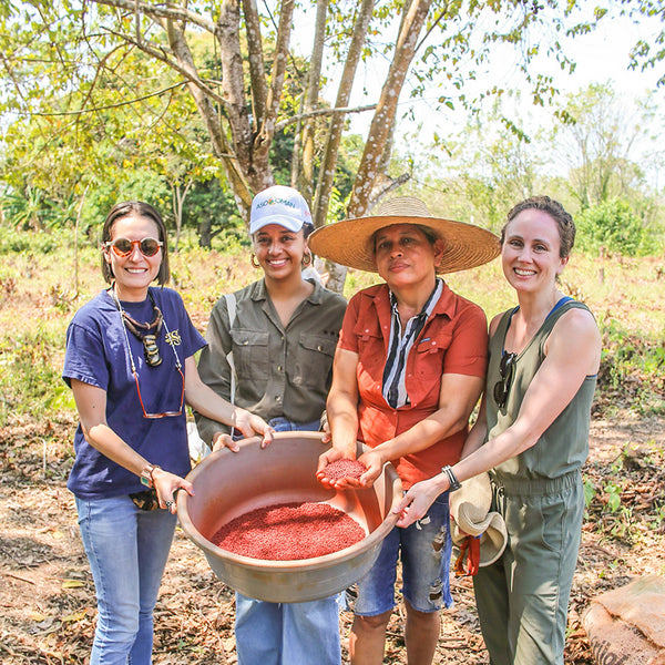 Four people in Colombia with annatto harvest