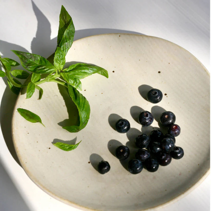 Wild Blueberry & Basil Shrub ingredients