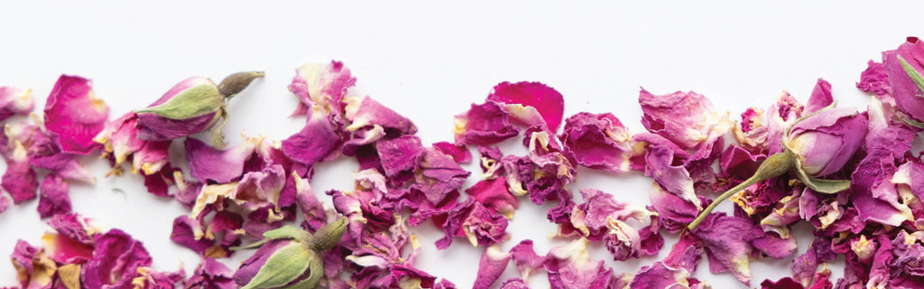 Pink flower petals scattered on a white background