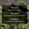 Phases of The Rose Oasis Project, a Curio for a Cause campaign focused on combatting the effects of climate change on Damask rose farms in Morocco.