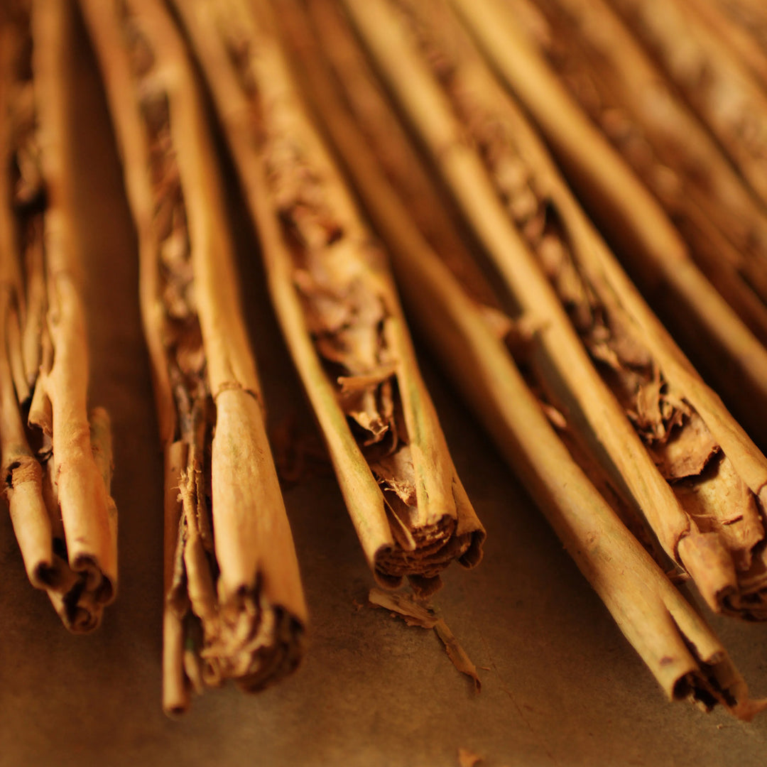 Close-up of Sri Lankan cinnamon quills