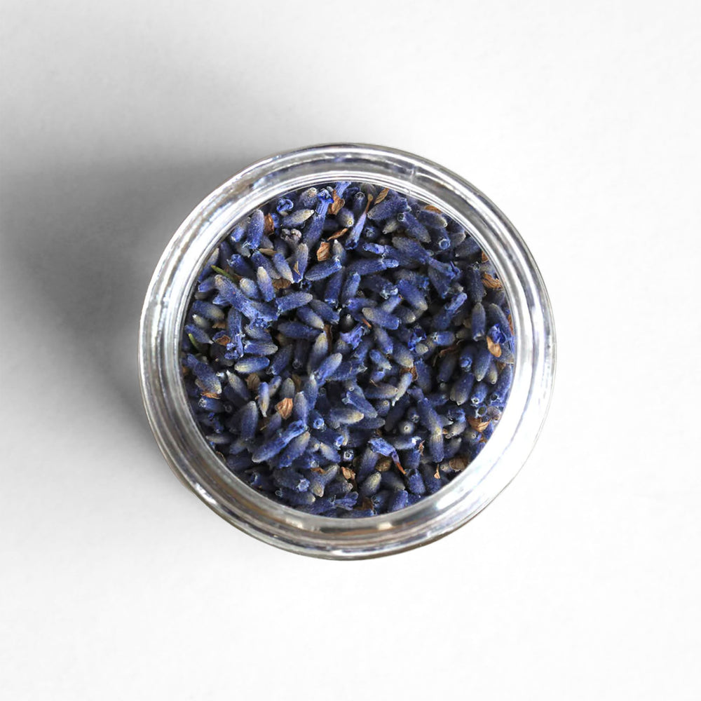 Top-down view or Oregon culinary lavender