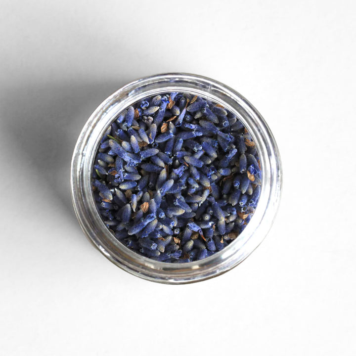 Top-down view or Oregon culinary lavender