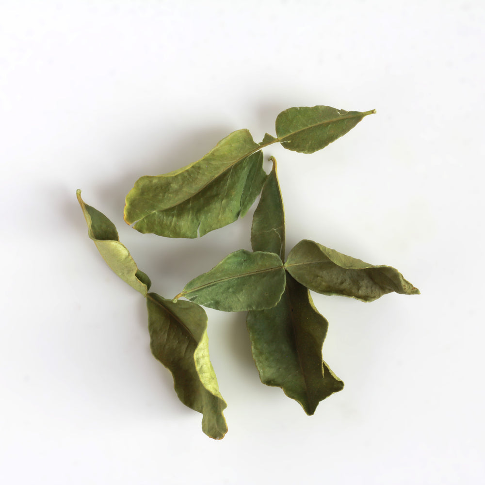 Scatter of Makrut Lime Leaves