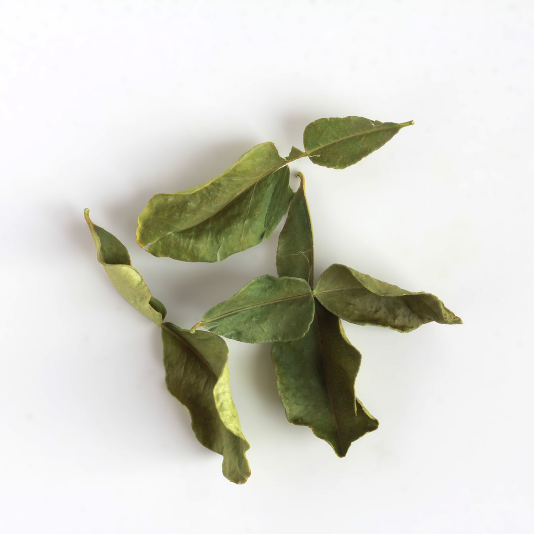 Scatter of Makrut Lime Leaves