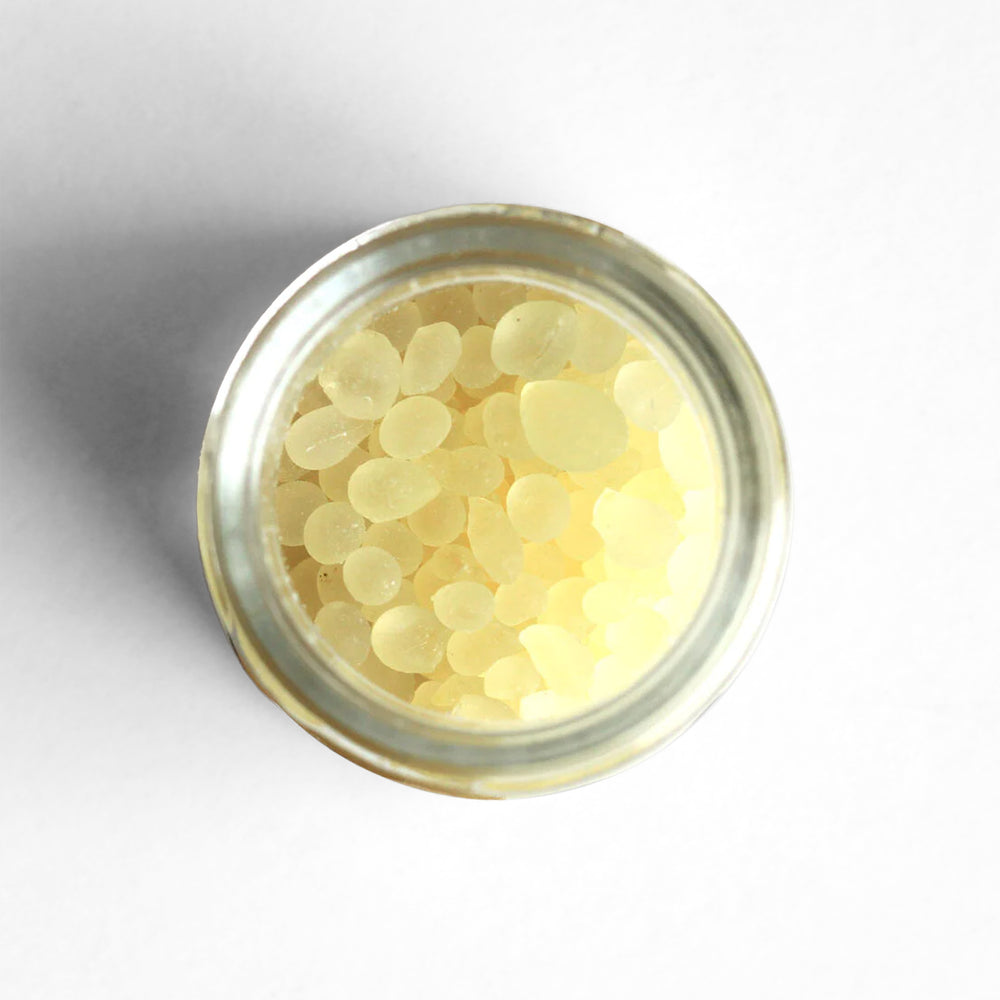 Curio Spice Co. fair-trade single origin sustainable Greek mastic tears in a glass jar from above.