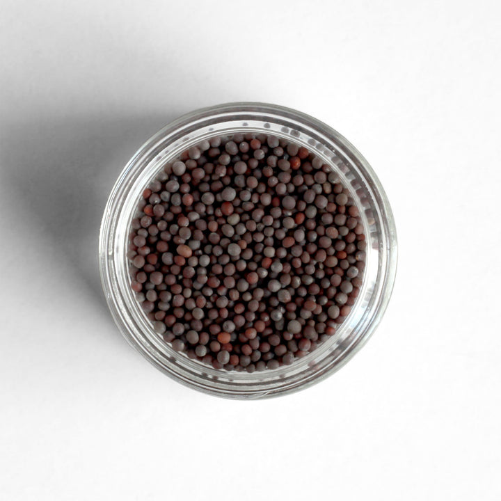 Curio Spice Co. fair-trade single origin sustainable brown mustard seed in a glass jar from above.