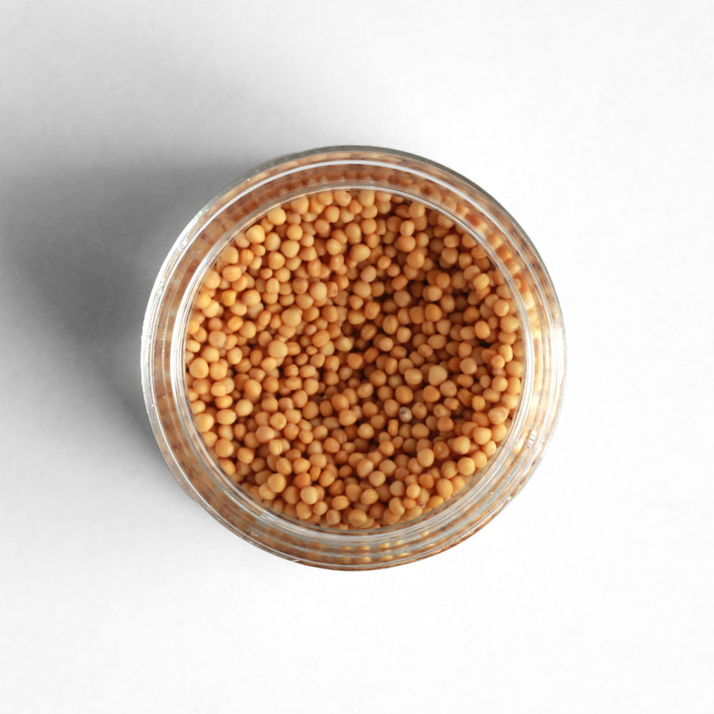 Curio Spice Co. fair-trade single origin sustainable yellow mustard seed in a glass jar from above.