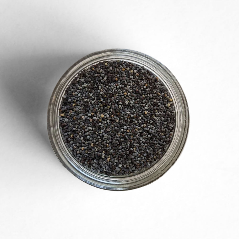 Curio Spice Co. fair-trade single origin sustainable blue poppy seed in a glass jar from above.
