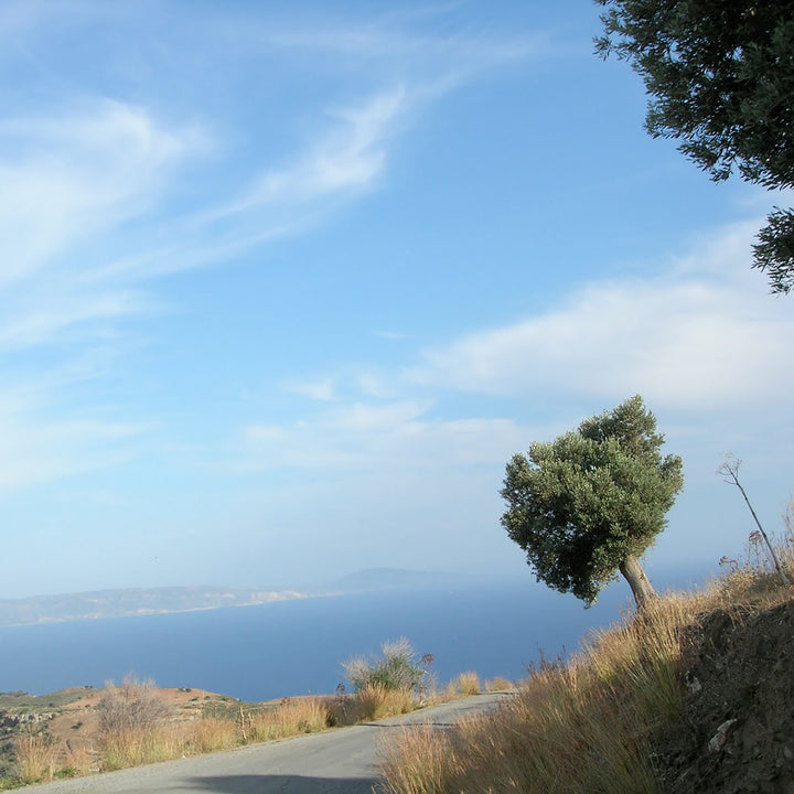 View from the island of Chios along the Aegean Sea.