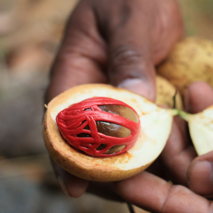 Origin of Kandy Spice, with influences of Sri Lankan spices.